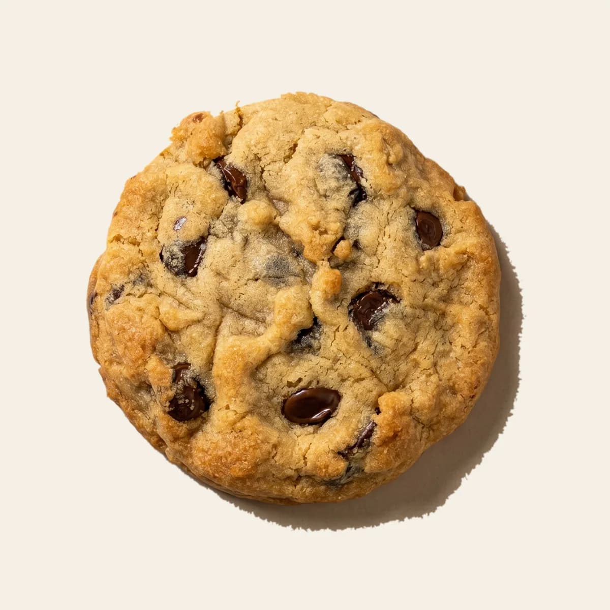 Vegan Chocolate Chip cookie